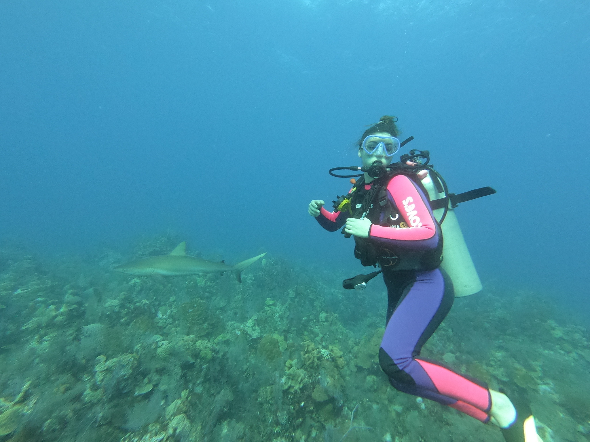Dive Photo 19